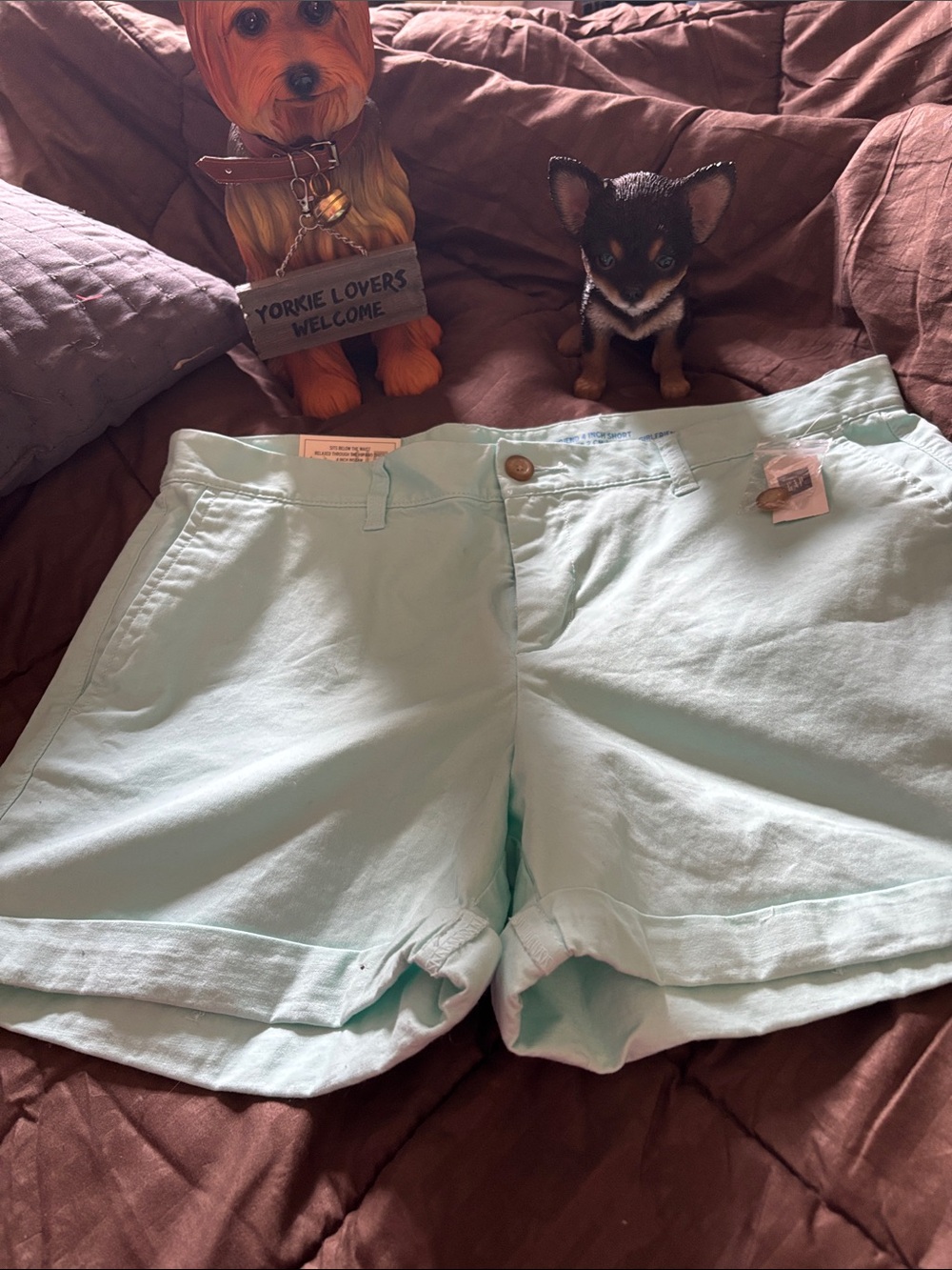 GAP Light Mint Green Women's Bermuda Shorts